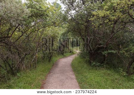 The Hiking Trail To The Cascades Near Mahai In The  Kwazulu-natal Drakensberg
