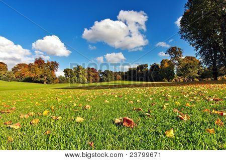 Bella autunno nel parco di Falkirk, in Scozia