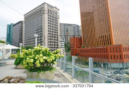 Seoul, Republic of Korea - August 2019: Seoullo 7017, Seoul Skygarden, Skypark. Seoul's elevated linear park, built on a former flyover.