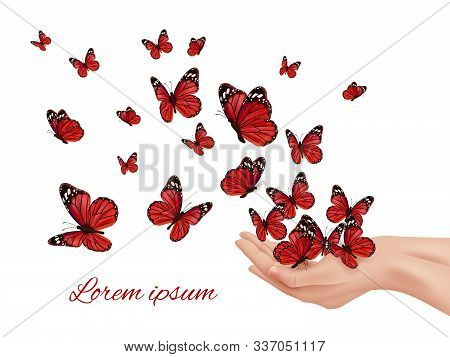 Butterfly In Hands. Flying Wings Papillon Farfalle Monarchs Many Colored Butterflies Vector Concept.