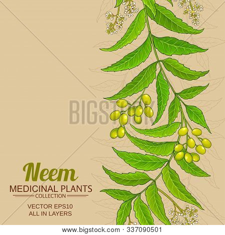 Neem Branches Vector Pattern On Color Background