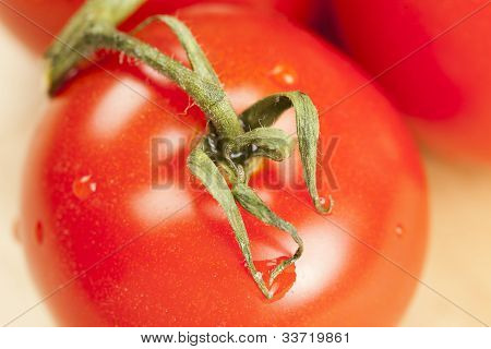 Pomodoro maturo fresco organica