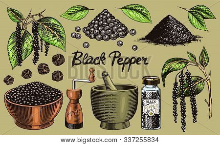 Black Pepper Set In Vintage Style. Mortar And Pestle, Allspice Or Peppercorn, Mill And Dried Seeds, 
