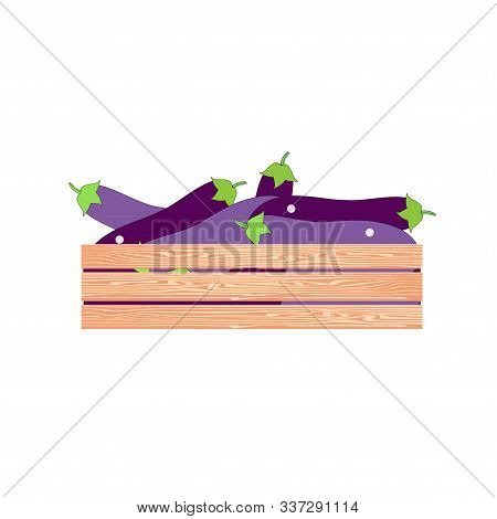 Eggplant In Wood Box. Vegetarian Food Art Design Element Stock Vector Illustration For Web, For Prin