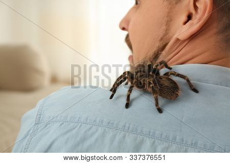 Man With Tarantula At Home, Space For Text. Arachnophobia (fear Of Spiders)