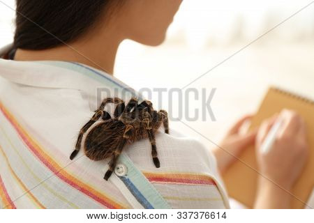 Young Woman With Striped Knee Tarantula On Shoulder At Home, Closeup. Space For Text