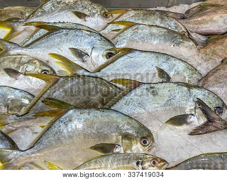 Fresh Plaice Fish Frozen On Ice At Seafood Market