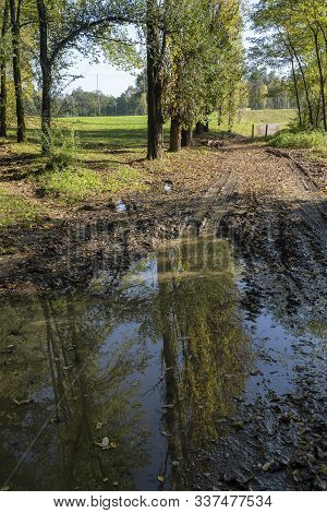Park Of Montevecchia, Lecco, Lombardy, Italy: A Path In Autumn (october With Puddle