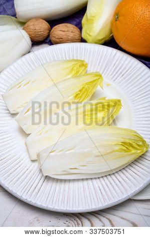 Fresh White Belgian Endive Or Chicory Heads