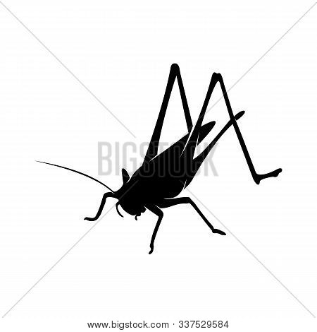 Grasshopper Logo Design Vector Illustration. Grasshopper Design Template