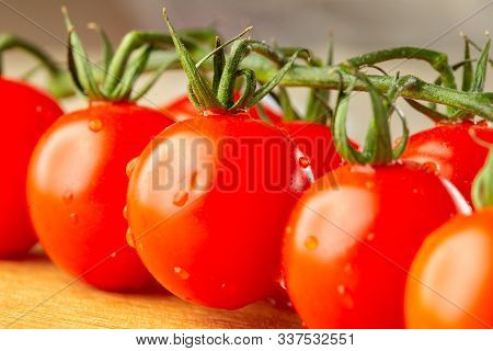Well Shaped Shiny Tomatoes With Drops Of Water And Green Pedicels