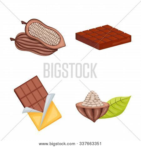 Isolated Object Of Cocoa And Beans Logo. Collection Of Cocoa And Sweetness Stock Symbol For Web.