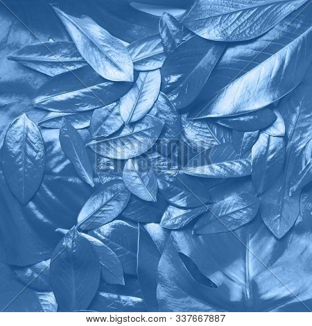 Creative Layout Made Of Tropical Leaves In Trendy Neo Mint Color. Flat Lay. Top View. Mock Up