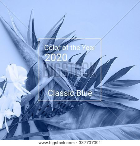 Background Of Tropical Flowers. Bluel Trend Color Of The Year 2020.