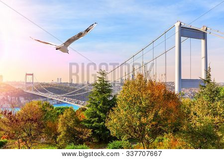 Sultan Fatih Mehmet Bridge, View From The Park, Istanbul