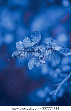 Classic Blue Color. Color Of The Year 2020. Trendy Color. New Color Of The Year. Blue Trendy Color.