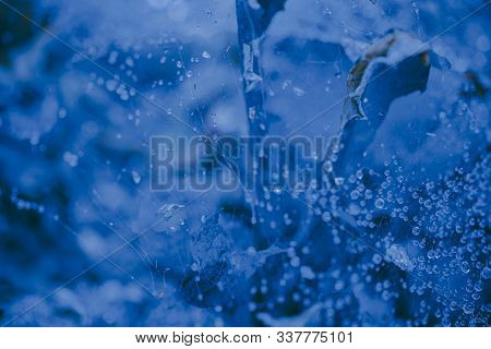 Classic Blue Color. Color Of The Year 2020. Trendy Color. New Color Of The Year. Blue Trendy Color.