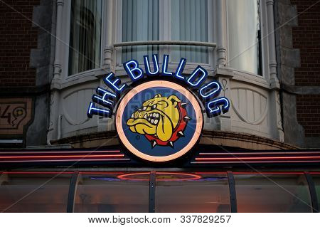Amsterdam, Netherland, Monday 2 December 2019: View Of The Bulldog Coffeeshop Background High Qualit