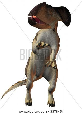 Dinozaur protoceratopsa 3D