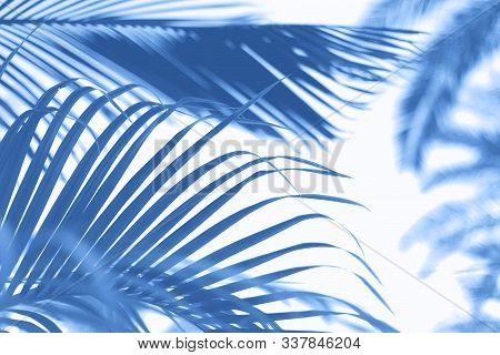 Palms With Colorful Pop Art Effect. Vintage Stylized Photo With Light Leaks. Summer Palm Trees Over 