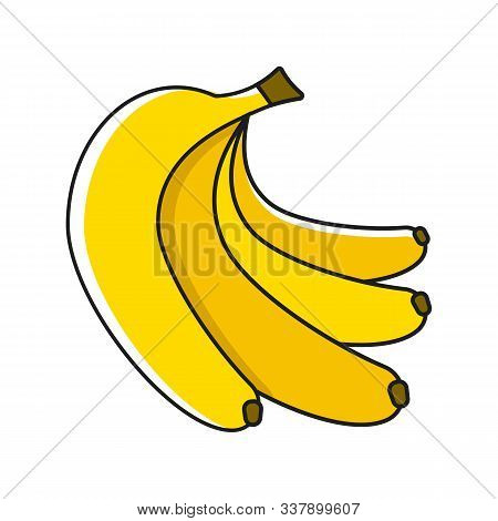 Banana Fruit Close Up. Bunch Of Bananas Isolated On White Background. Qualitative Vector About Banan