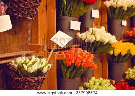Colorful Tulips On Sale In Amsterdam Flower Market. Tulip Flowers From Holland For Sale , Amsterdam 