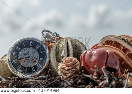 What Time Does To Us, We Grow Old And Dry Like All Living Things On Earth, Such As Dry Fruit. Close-