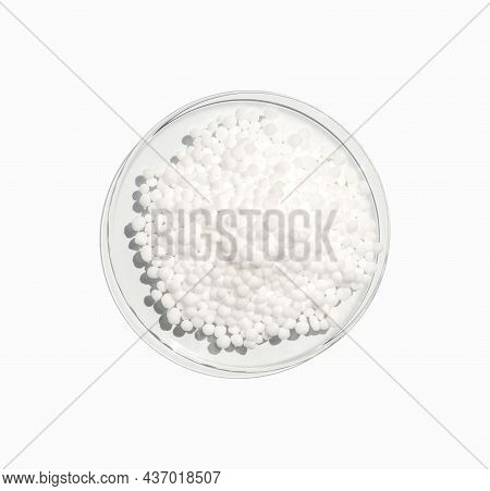 Carbamide In Chemical Watch Glass. Close Up Chemical Ingredient On White Laboratory Table. Top View