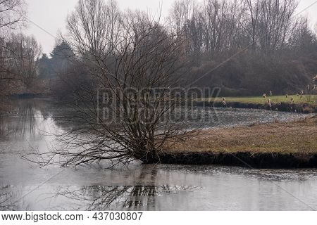 Lagoon Park In Italy Near Verona In Veneto Region