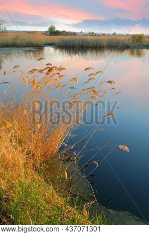 Warm Summer Evening On The Lake