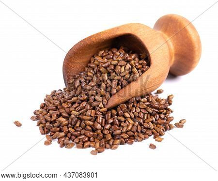 Cassia Tora Beans In Wooden Scoop, Isolated On White Background. Sicklepod Or Senna Obtusifolia. Cli