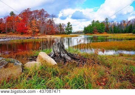 Autumn That Came With The Brightest Colors, Where You Can See Colorful Trees,
