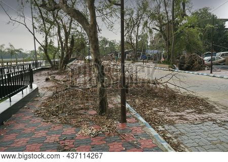Howrah, West Bengal, India - 31st May 2020 : Super Cyclone Amphan Uprooted Tree Which Fell And Block