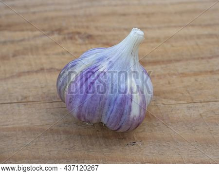 Bulb Of Garlic Close-up On A Wooden Background. Agriculture.