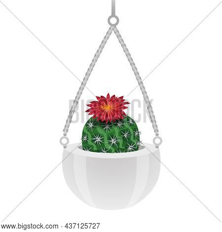 Cactus Composition With Isolated Image Of Parodia Cactus In Hanging Pot On Blank Background Vector I