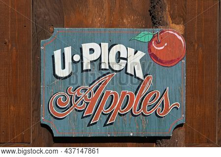 OAK GLEN, CALIFORNIA - 10 OCT 2021: Closeup of a U-Pick Apples sign on a shed in the Oak Glen Preserve.