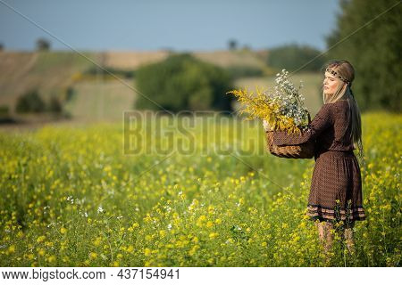 An Herbalist With A Basket Full Of Herbs, Stands In A Field Of Rapeseed.