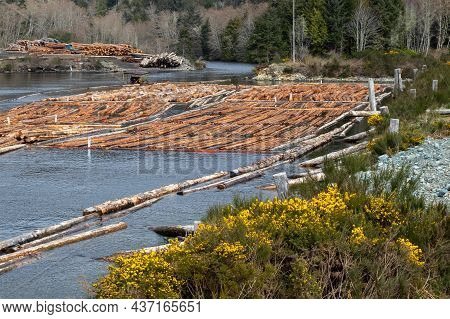 Log Boom On The Jordan River On Vancouver Island In British Columbia