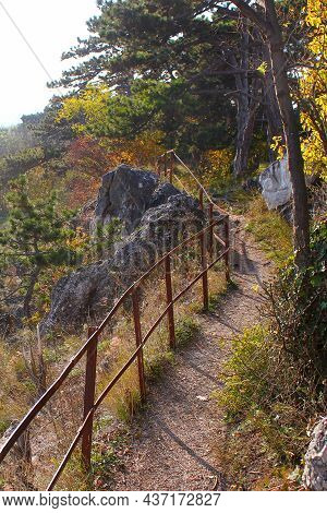 Wonderful Hiking Trail Next To Steep Rocks In A Beautiful Pine Tree Forest. Idyllic Scnery.