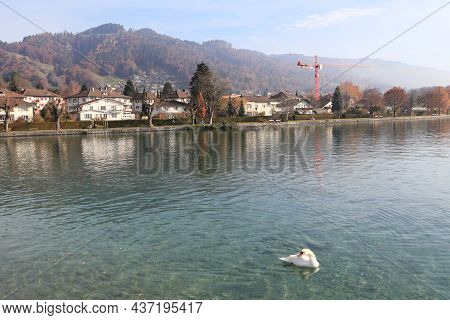 Thun, Switzerland- Nov 13, 2015: Lake Thun In Autumn On Nov 13, 2015 In Thun, Switzerland.