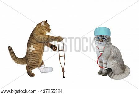 An Ashen Cat Doctor In A Medical Cap And A Stethoscope Treats A Beige Cat With A Broken Leg. White B