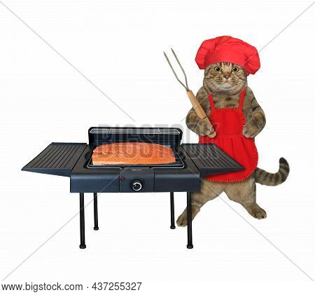 A Beige Cat In A Red Chef Hat And An Apron With A Barbecue Fork Cooks Salmon On An Electric Grill. W