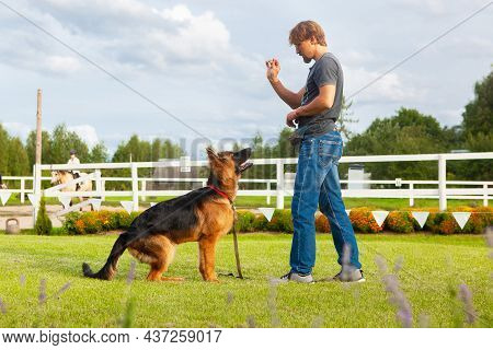 A Male Dog Handler, Owner Of A Young German Shepherd Dog, Trains His Dog On A Training Field.