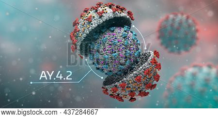 Corona Virus Ay.4.2 Coronavirus Epedemic Pandemic Covid-19 Concept. 3d Render Illustration
