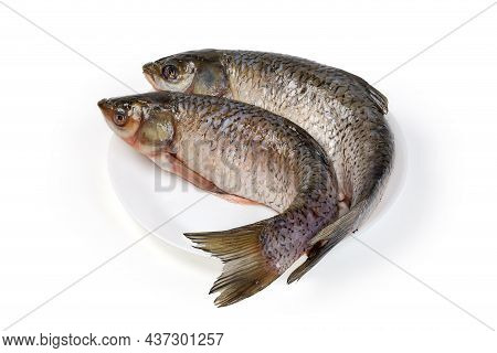 Two Raw Gutted Carcasses Of The Grass Carp Cleaned From Scales And Prepared For Cooking, Lie On The 