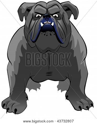 牛头犬