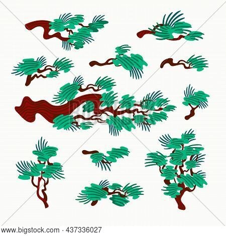 Japanese Pine Tree. Organic Flat Style Vector Illustration On White Background.