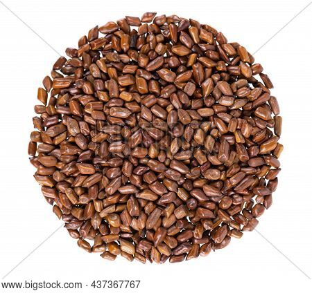 Cassia Tora Beans Isolated On White Background. Sicklepod Or Senna Obtusifolia. Clipping Path. Top V
