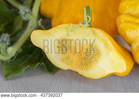 Pattison Yellow In The Section, A Kind Of Flying Saucer On A Light Table.