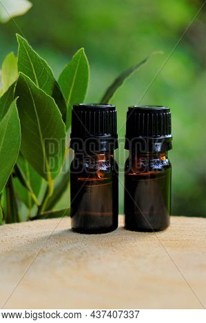 Laurel Oil.bay Leaf Oil.essential Oil . Laurel Essential Oil.glass Brown Bottles Set And Laurel Leav